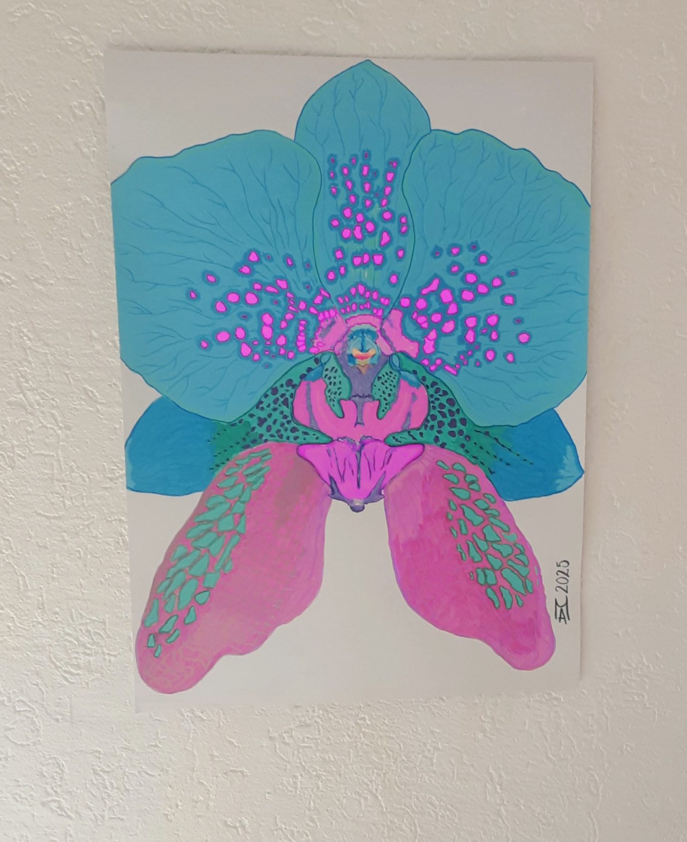 Orchidea profumata Vetiver