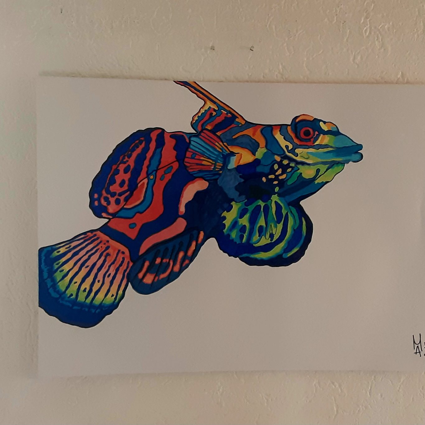 Pesce tropicale nr 2