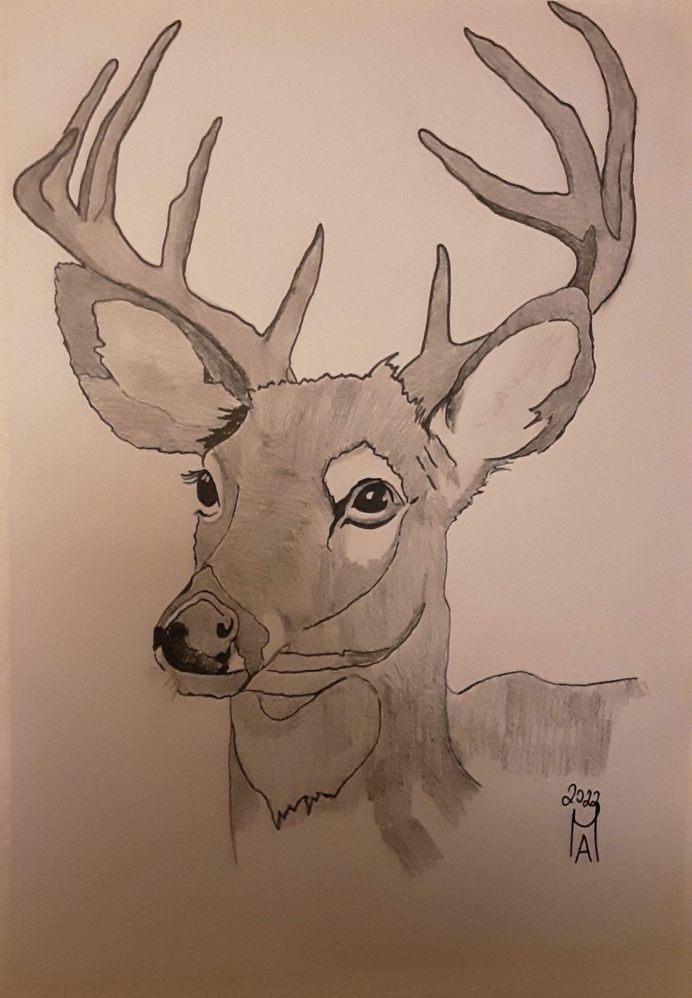 Der König des Waldes