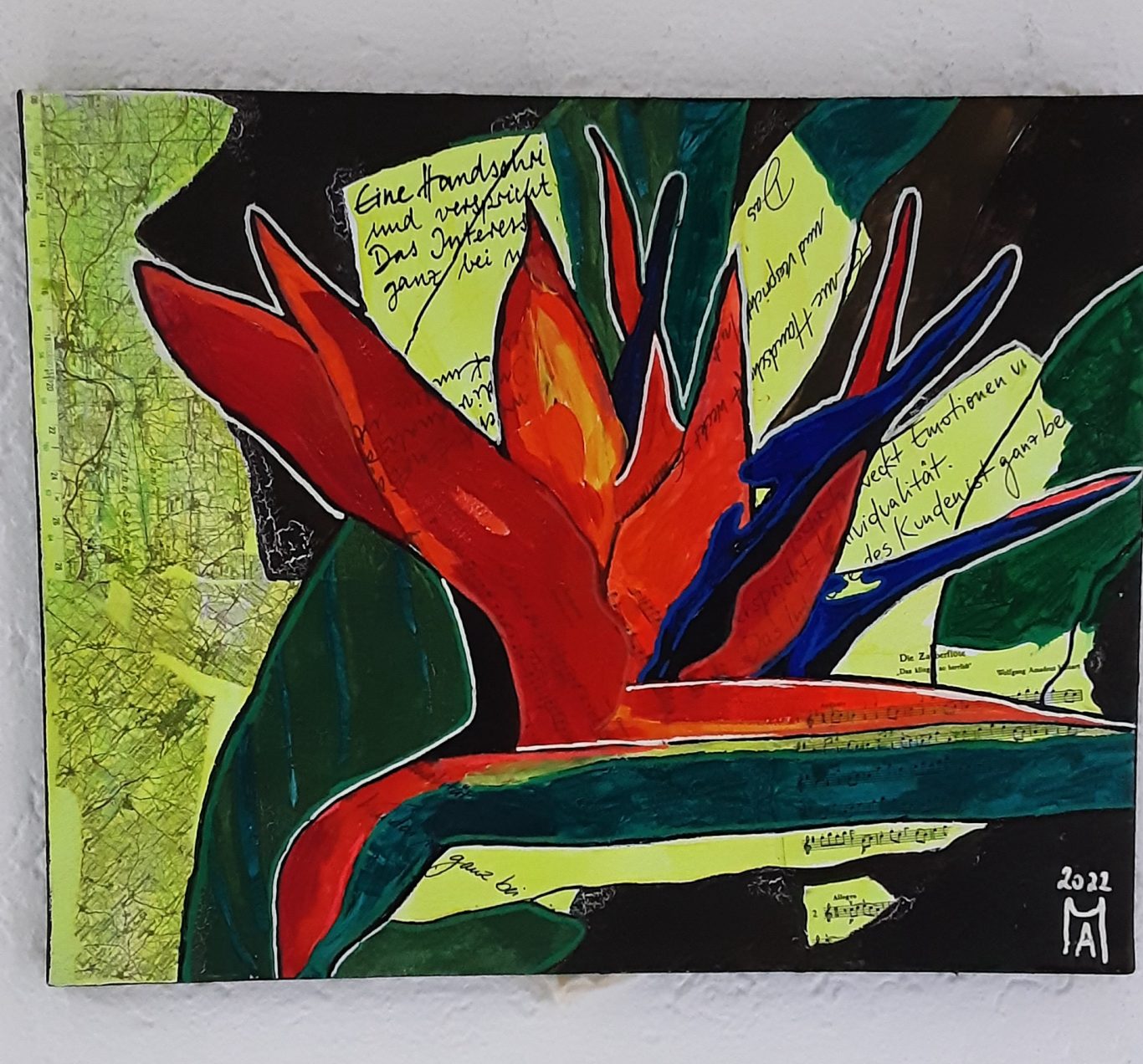 Sterlizie, oder Paradies Blume